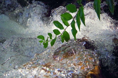 在線水質(zhì)檢測儀使用方法.jpg 在線水質(zhì)檢測儀使用方法.jpg