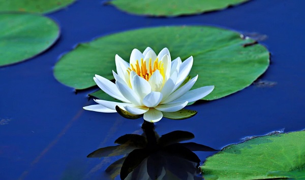 什么是在線懸浮物檢測儀?.jpg 什么是在線懸浮物檢測儀?.jpg