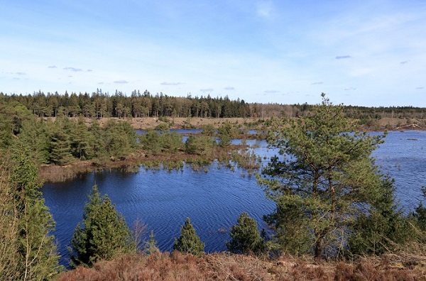 水污染的危害.jpg 水污染的危害.jpg